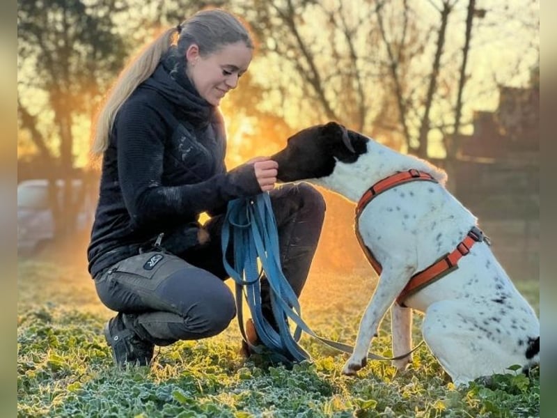 Phönix - Wege aus der Vergangenheit