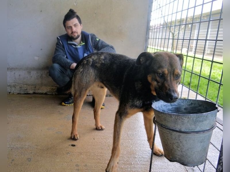 Alvis - Zurückgelassen mit nichts als Hoffnung