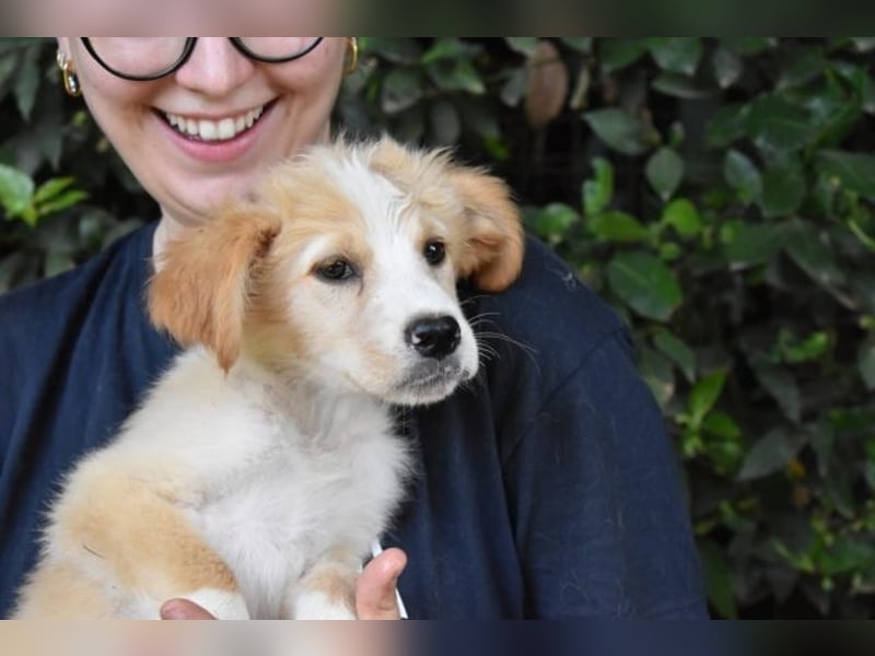 Marula - ...und Mama konnte es dir nicht zeigen