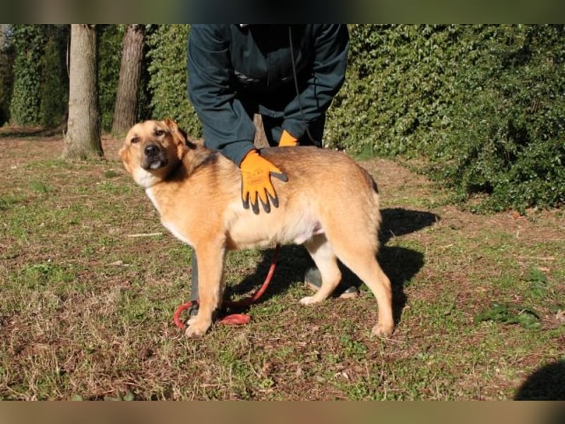 Kairo - möchte einfach nur genießen