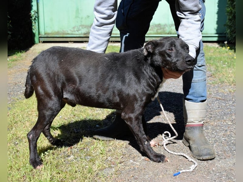 Rhino - NOTFALL !!! - Wenn man nicht auffällt, geht man unter