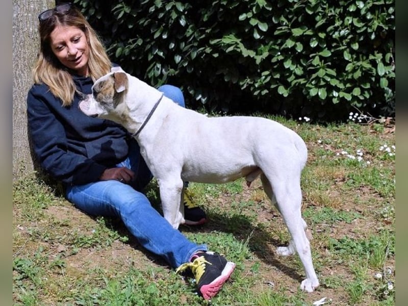 Nickolaus - Alle guten Dinge sind drei