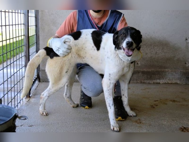 Lorianne - Diplomierte Zuhörerin sucht Sofa & Sonne