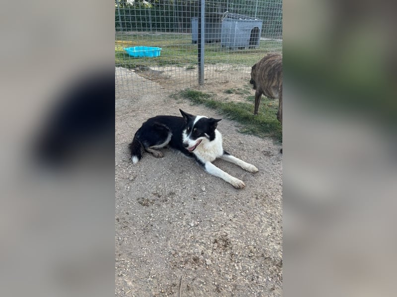 Selina - Nach einer langen Reise endlich ankommen dürfen