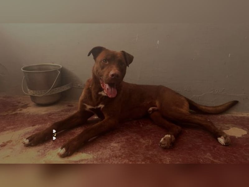 Birdy - Ich glaube, es wird Frühling