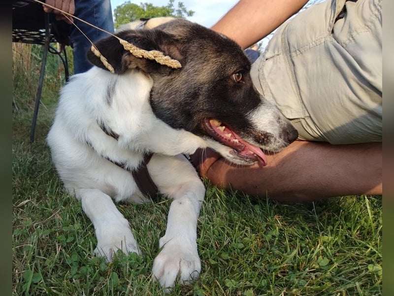 Fioretta - Notfall - 2. Lebensglück gesucht