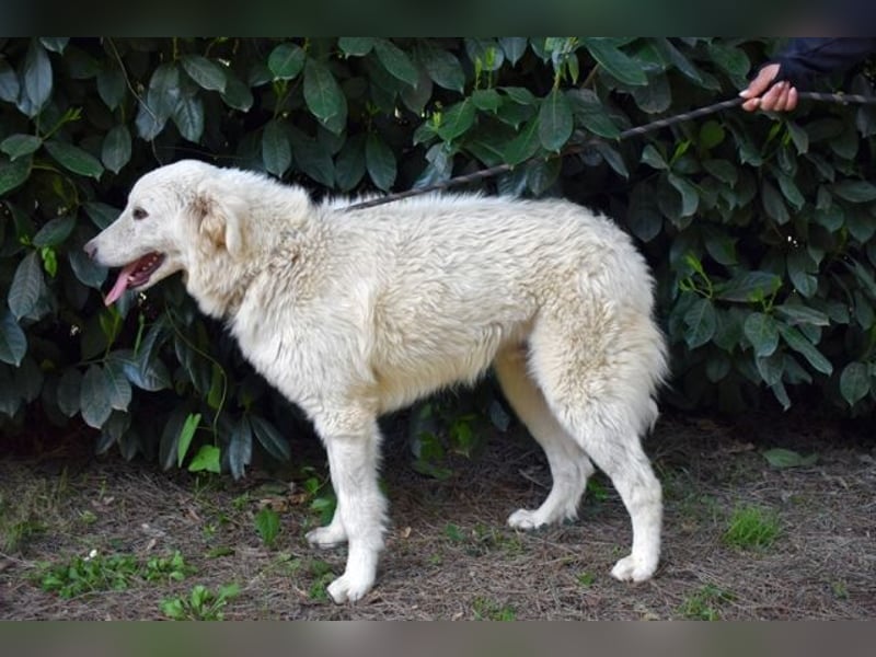 Florenz - bereit für das Abenteuer Leben