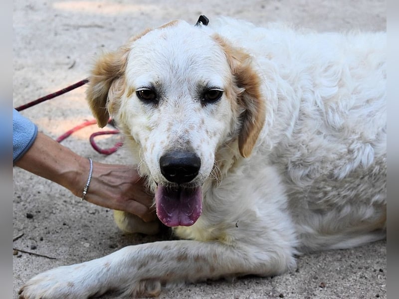 Kastore - Die Welt erkunden!