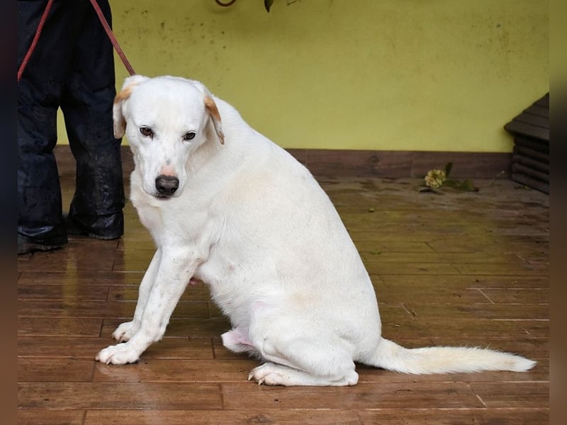 Ghemon - Notfall - Wie wenig kann ein Leben zählen?