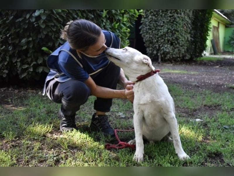 Shaydon - Ein riesiges Missverständnis!
