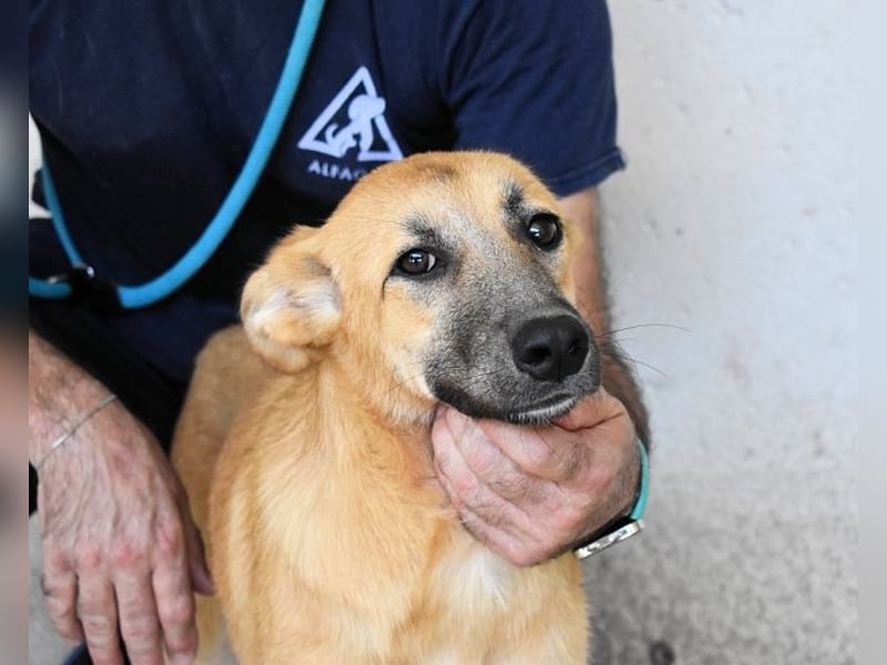 Osita - "Und wenn sie nicht weg sind.....