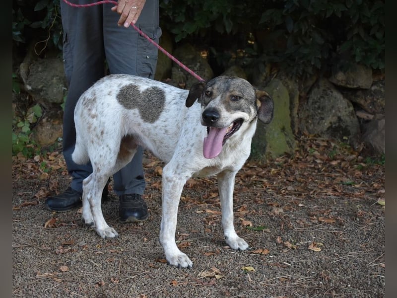 Helder - spricht für sich