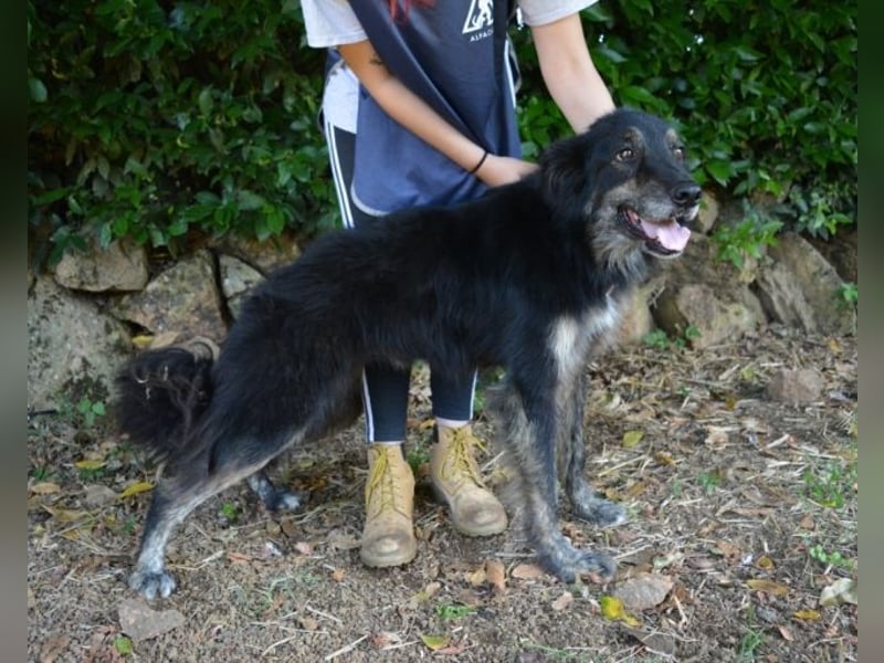 Pinot - "Unmöglich!" sagte die Tatsache... Pinot - "Unmöglich!" sagte die Tatsache...