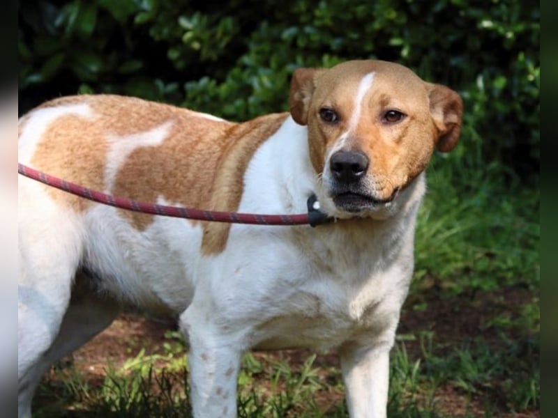 Zela - Z wie Zuckersüß und Zauberhaft