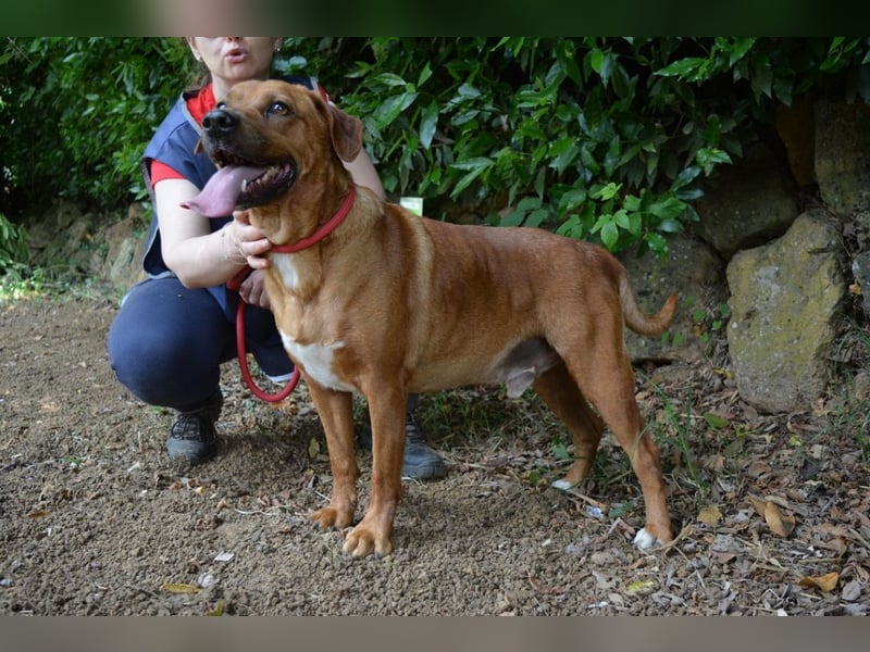 Freebie - Über Stock und Stein