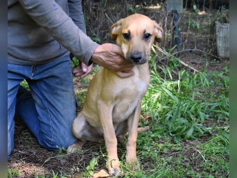 Ulbert - hat alles verloren