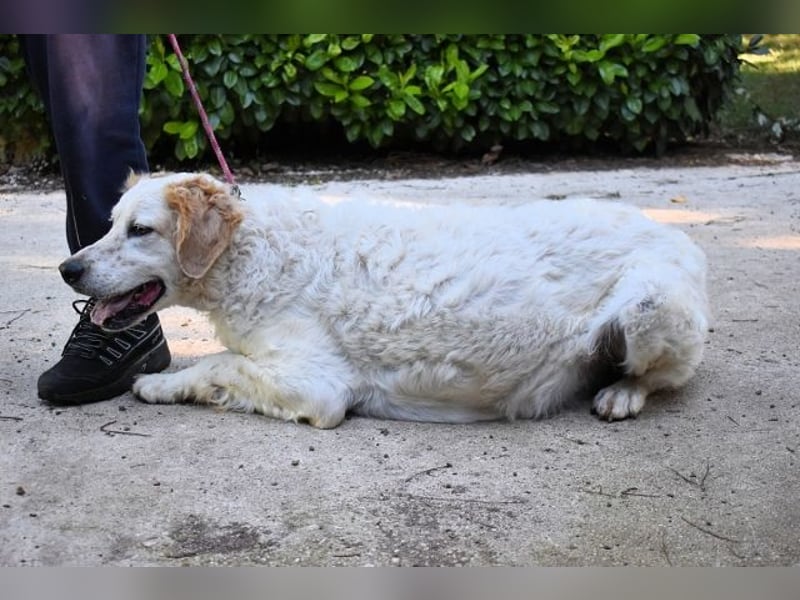 Kastore - Die Welt erkunden!