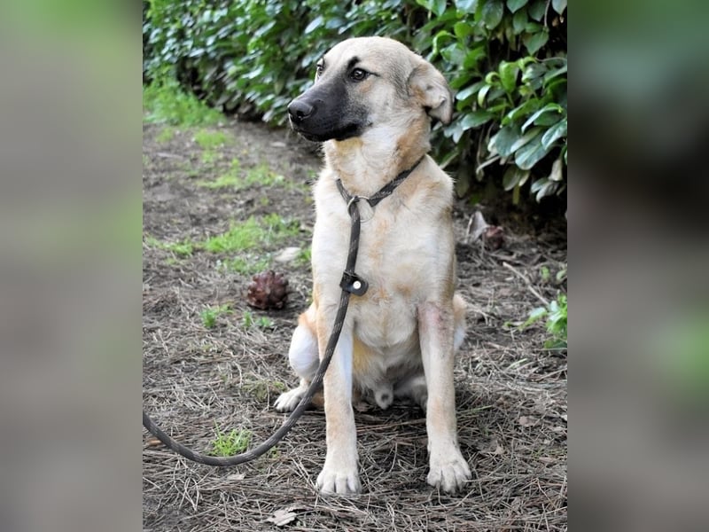 Zeebo - Z wie Zuckersüß und Zauberhaft