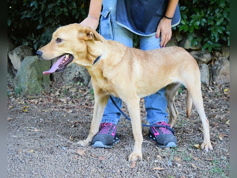 Lilyrose - als kleine Muschel ins Glück!