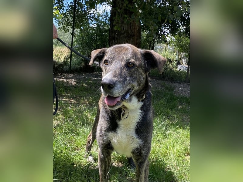 Lola - Das Herz hat seine Gründe