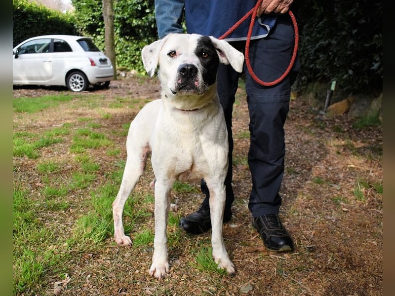 Olindina - Wie gut du bist, das zeigt sich an schlechten Tagen