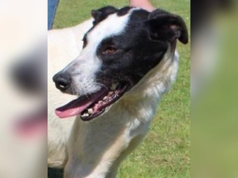 Florentino - Der hübscheste aller Batmans