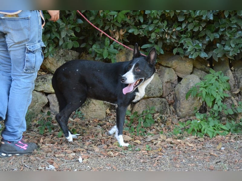 Edelmira - Das Leben in homöopathischen Dosen kennenlernen