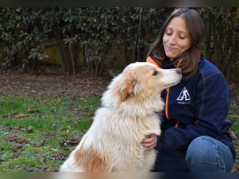 Jury - Powerpaket mit ganz viel Herz im Gepäck