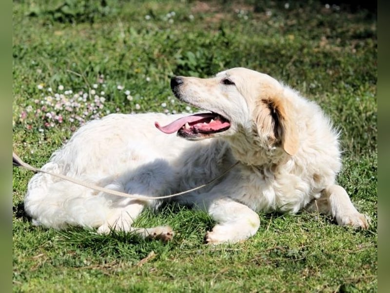 Kastore - Die Welt erkunden!