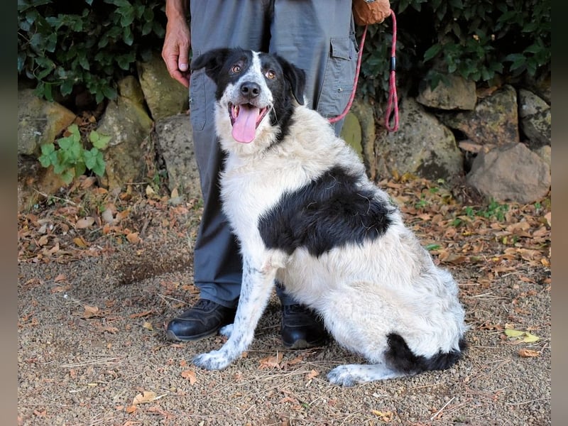 Jessie - Wer nicht neugierig ist, erfährt nichts
