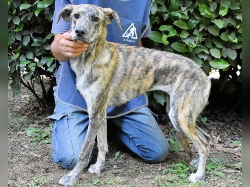 Uladine - hat alles verloren...