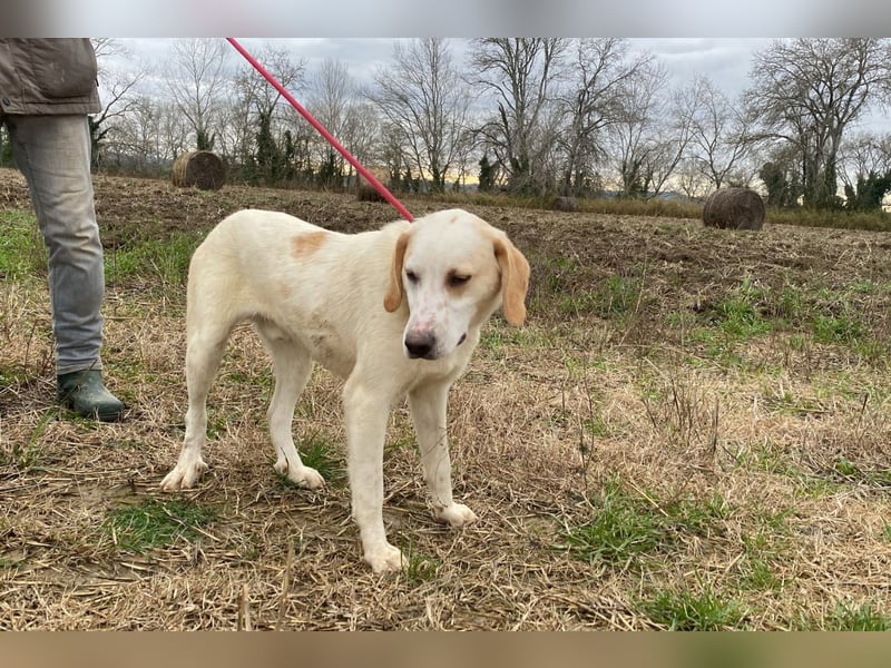 Deddy -  Mit neugierigen Pfoten ins Leben