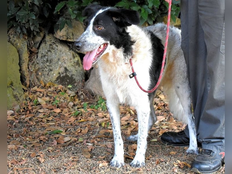 Jessie - Wer nicht neugierig ist, erfährt nichts