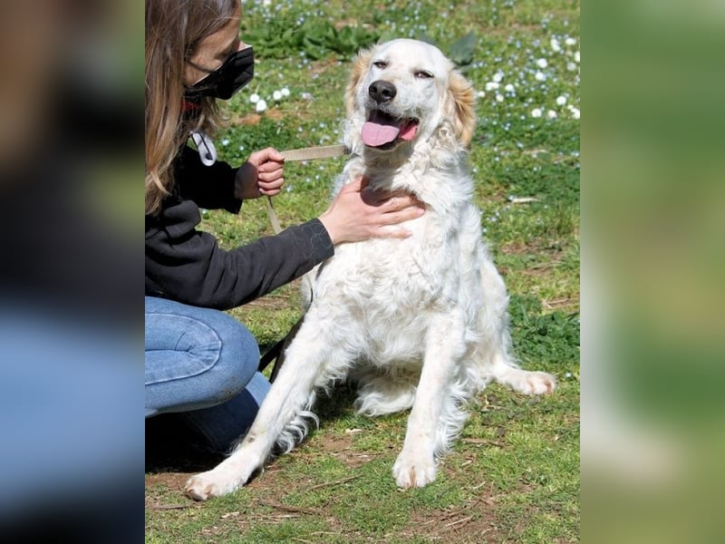 Kastore - Die Welt erkunden!