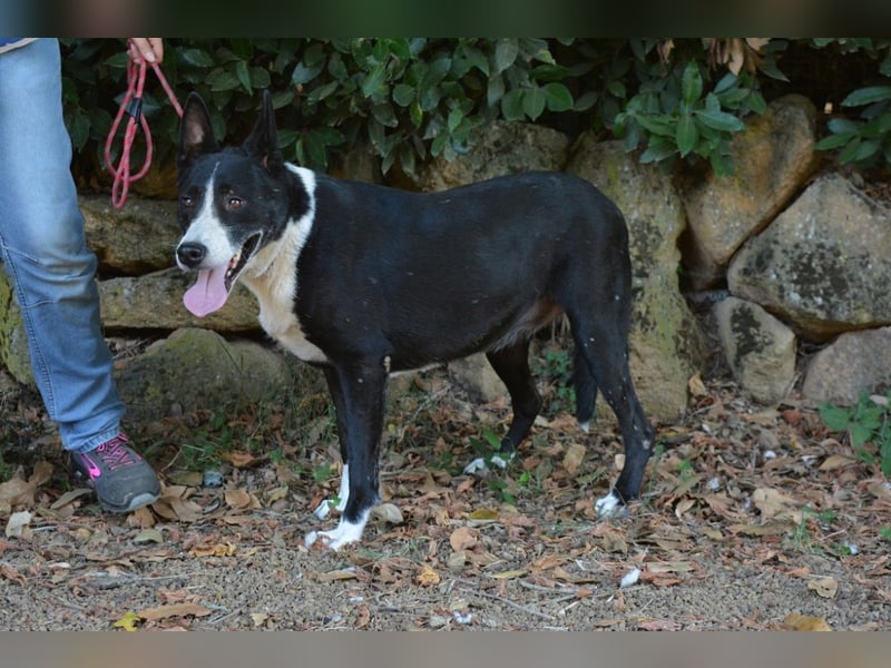 Edelmira - Das Leben in homöopathischen Dosen kennenlernen