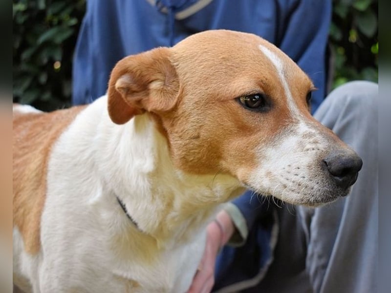 Zela - Z wie Zuckersüß und Zauberhaft