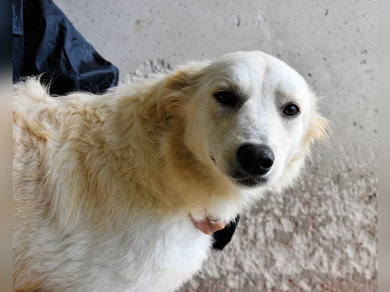 Sadye - Liebevolle Zuwendung....