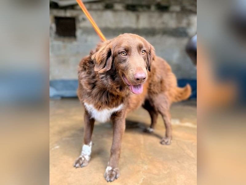 Beckey - Berufswunsch Prinzessin