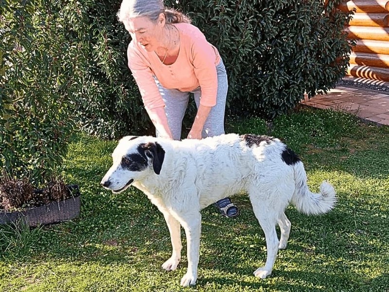 Marni - Dieses Herz hat schon zu lange gewartet