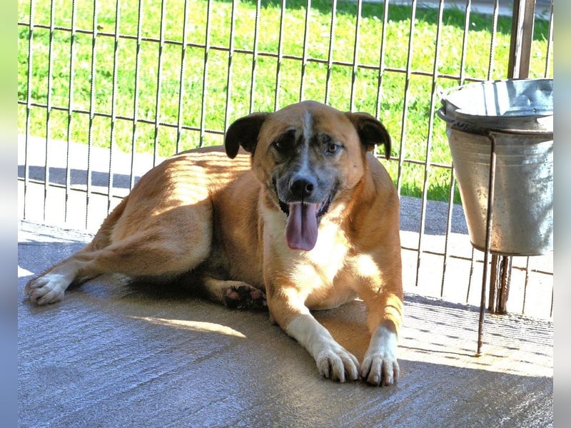 Sunitha - Drei Leben. Drei Chancen.