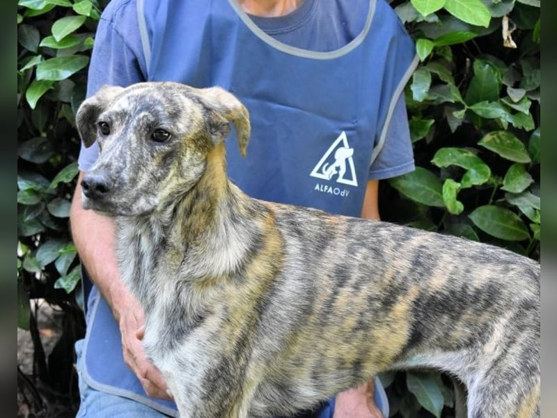 Uladine - hat alles verloren...