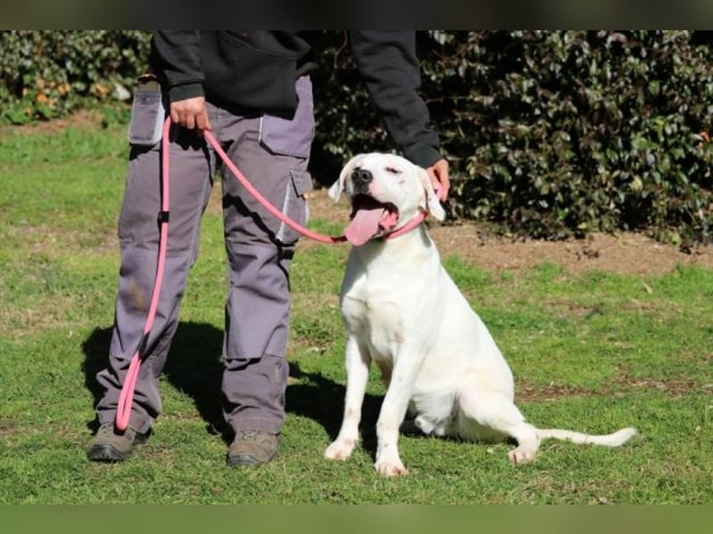 Ottaviano - Fels in der Brandung gesucht!