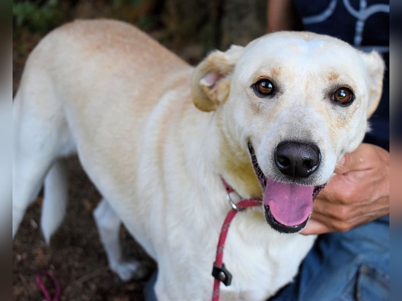 Hughie - macht ein Freundschaftsangebot