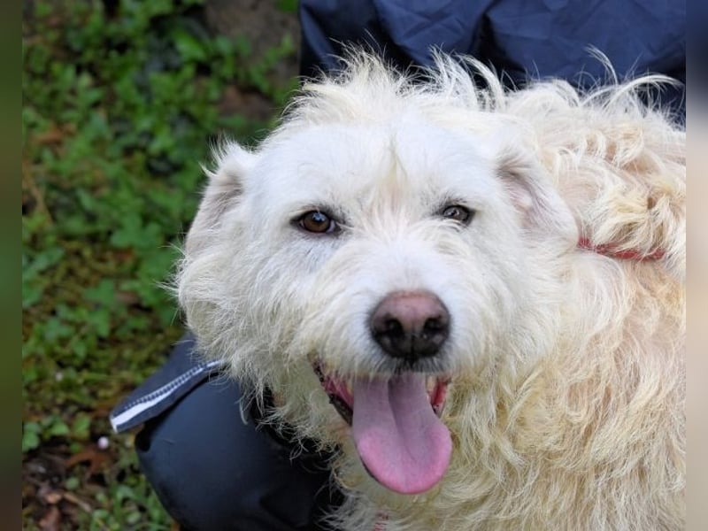 Gatsby - Der große Gatsby sucht seine Daisy