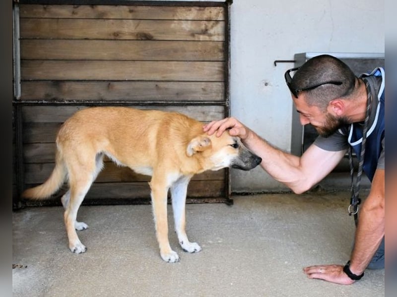 Osita - "Und wenn sie nicht weg sind.....