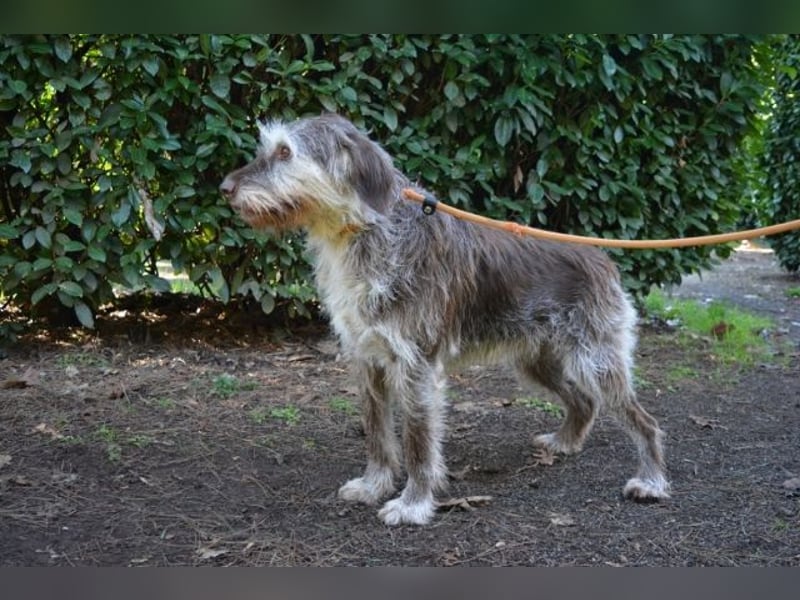Minnie - Nach 7 Jahren Unglück endlich 7 Jahre Glück?