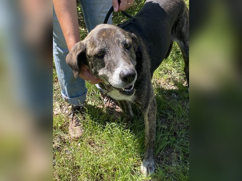 Lola - Das Herz hat seine Gründe