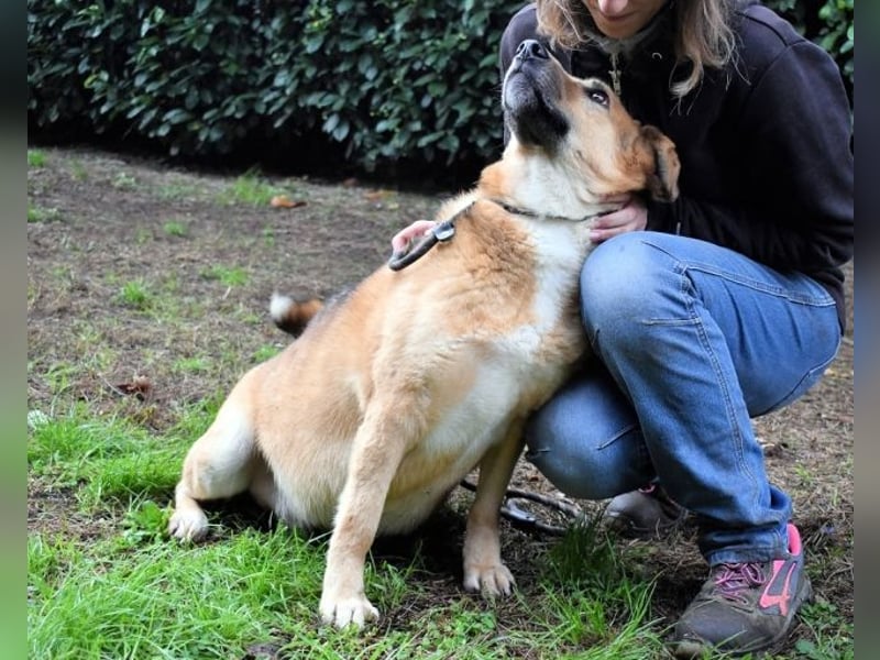 Kairo - möchte einfach nur genießen