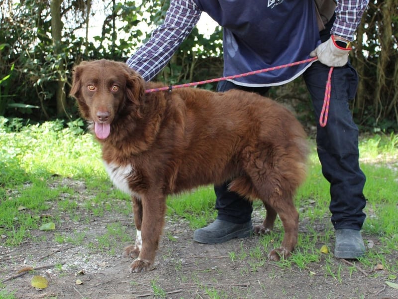 Beckey - Berufswunsch Prinzessin