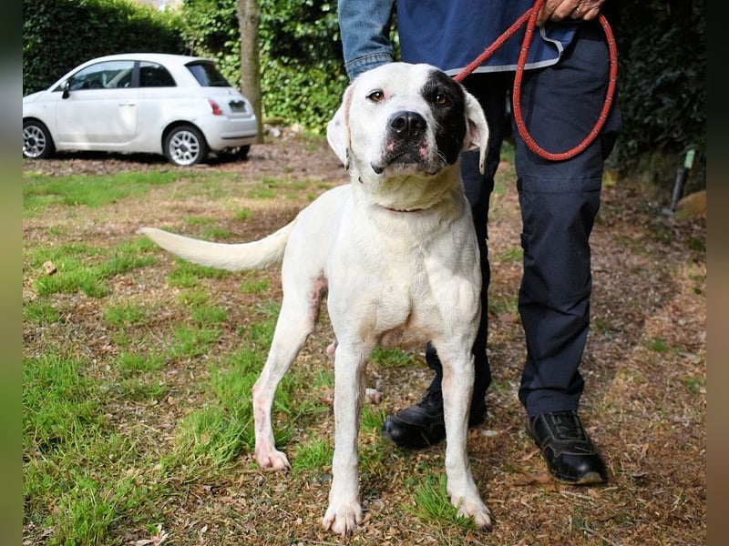 Olindina - Wie gut du bist, das zeigt sich an schlechten Tagen